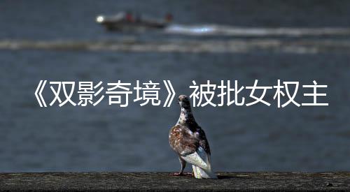 《雙影奇境》被批女權主義 游戲總監(jiān)：這到底什么鬼？