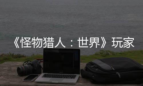 《怪物獵人：世界》玩家在不使用武器的情況下通關游戲 主要輸出靠波動拳表情