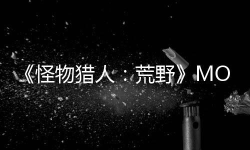 《怪物獵人：荒野》MOD 禁用鏡頭失真畫(huà)面更清晰