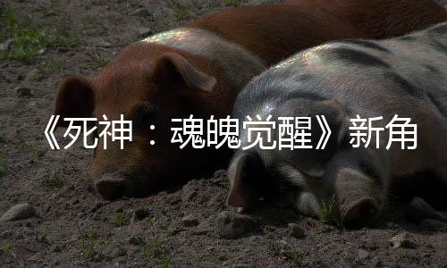 《死神：魂魄覺(jué)醒》新角色預(yù)告：“諾伊特拉·吉爾加”