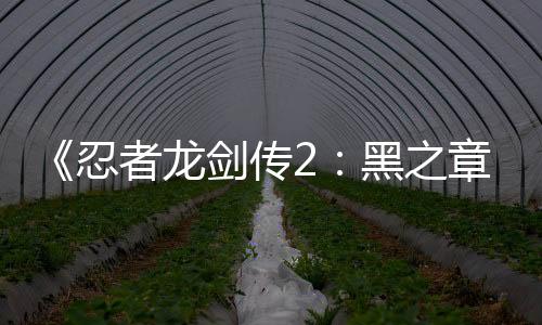 《忍者龍劍傳2：黑之章》重制版與原版游戲對比視頻