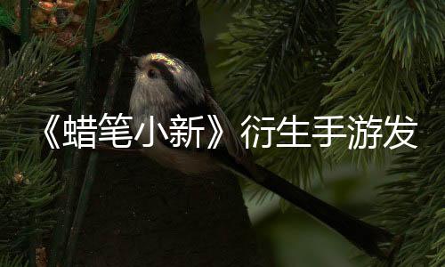 《蠟筆小新》衍生手游發(fā)布 破爛寶貝收集大冒險(xiǎn)