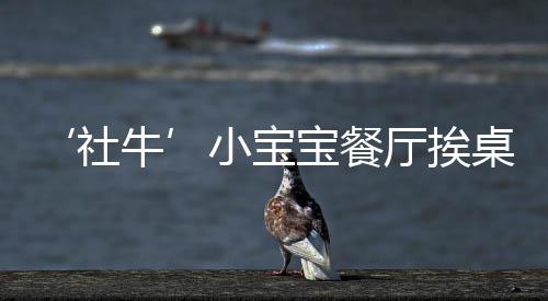 ‘社?！殞毑蛷d挨桌打招呼，展現(xiàn)非凡社交天賦