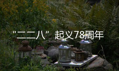 “二二八”起義78周年：勿讓“臺獨史觀”歪曲臺灣愛國主義傳統(tǒng)