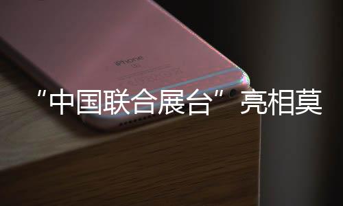 “中國聯(lián)合展臺”亮相莫斯科世界內(nèi)容市場交易展