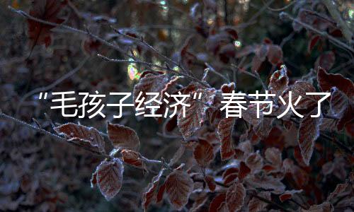 “毛孩子經(jīng)濟(jì)”春節(jié)火了 你家萌寵這個(gè)節(jié)怎么過？