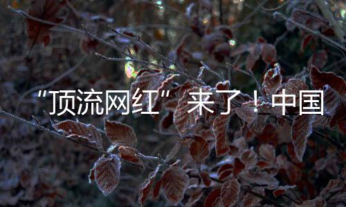 “頂流網(wǎng)紅”來了！中國大熊貓萌翻美國華盛頓