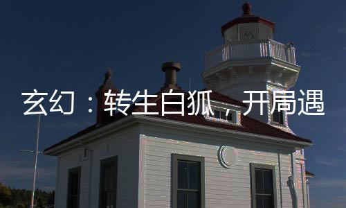 玄幻：轉(zhuǎn)生白狐，開局遇仙人指路