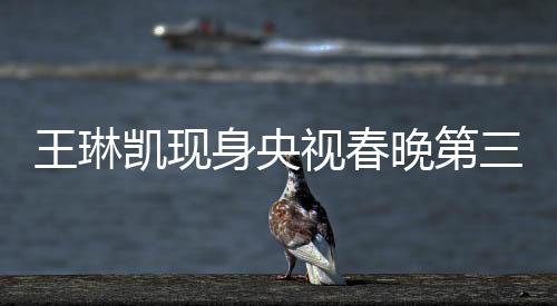 王琳凱現(xiàn)身央視春晚第三次聯(lián)排，備受矚目的音樂才子驚艷全場