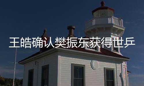 王皓確認樊振東獲得世乒賽決賽資格，國乒新星閃耀世界舞臺
