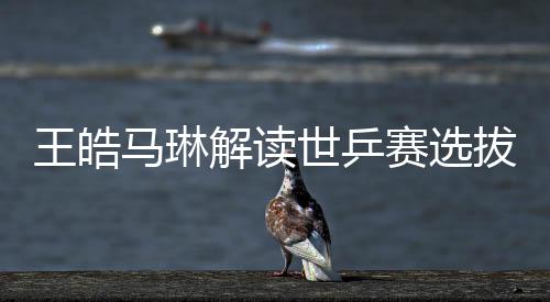 王皓馬琳解讀世乒賽選拔標(biāo)準(zhǔn)，以實(shí)力為核心，打造乒壇精英團(tuán)隊(duì)