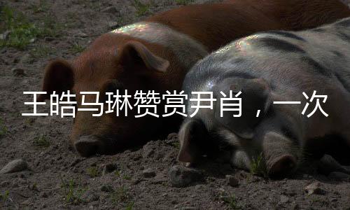 王皓馬琳贊賞尹肖，一次跨界的鼓舞與肯定