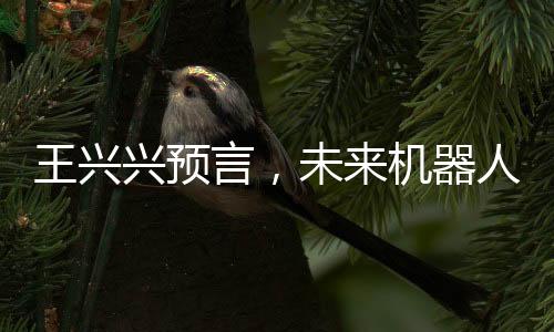 王興興預言，未來機器人將縮小至細胞大小，科技革新引領(lǐng)新時代