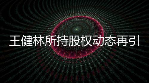 王健林所持股權(quán)動態(tài)再引關(guān)注，7702萬股權(quán)遭凍結(jié)事件深度解析