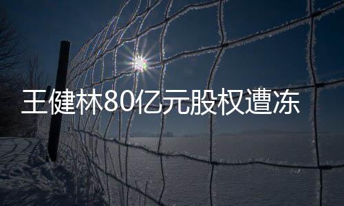 王健林80億元股權(quán)遭凍結(jié)事件揭秘