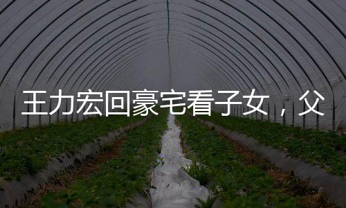 王力宏回豪宅看子女，父愛如山，溫馨團(tuán)聚時刻