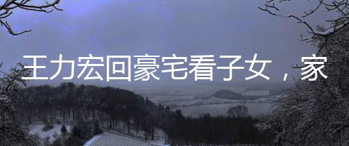 王力宏回豪宅看子女，家庭時(shí)光溫暖如初