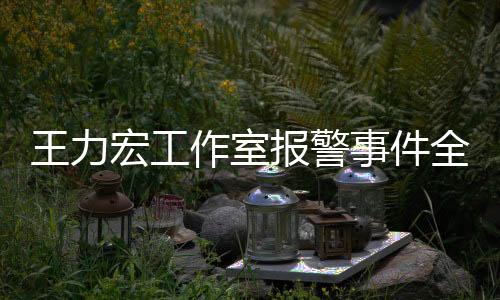 王力宏工作室報(bào)警事件全面解析