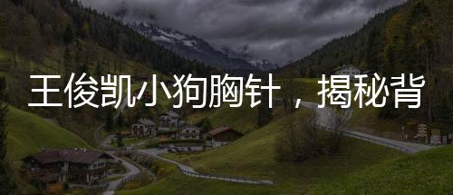 王俊凱小狗胸針，揭秘背后故事與獨(dú)特魅力