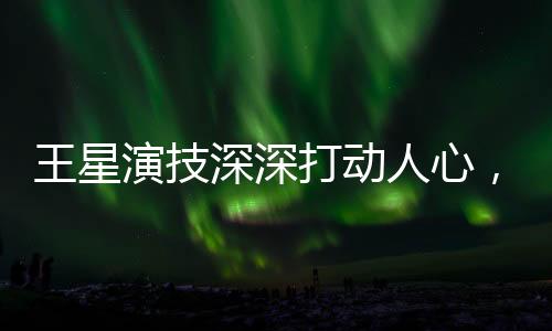 王星演技深深打動人心，一段難以忘懷的藝術(shù)之旅