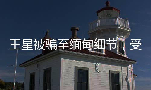 王星被騙至緬甸細(xì)節(jié)，受害者揭開(kāi)悲慘遭遇的黑幕