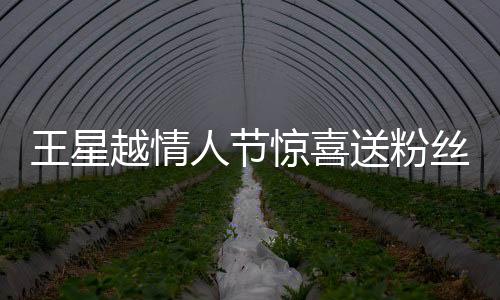 王星越情人節(jié)驚喜送粉絲玫瑰花，愛(ài)心傳遞感動(dòng)無(wú)數(shù)粉絲