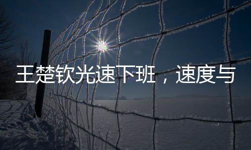 王楚欽光速下班，速度與效率的完美融合