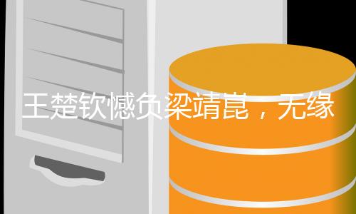 王楚欽憾負(fù)梁靖崑，無(wú)緣男單決賽