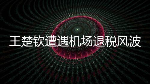 王楚欽遭遇機場退稅風波，引發(fā)社會熱議