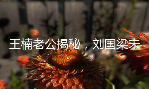 王楠老公揭秘，劉國(guó)梁未曾依賴國(guó)家資金一分一毫