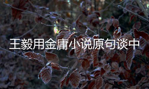 王毅用金庸小說(shuō)原句談中美關(guān)系，風(fēng)云際會(huì)下的兩國(guó)關(guān)系洞察