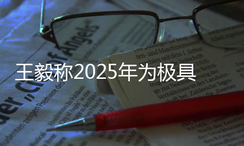 王毅稱2025年為極具歷史分量的年份，關鍵里程碑下的全球合作與愿景展望