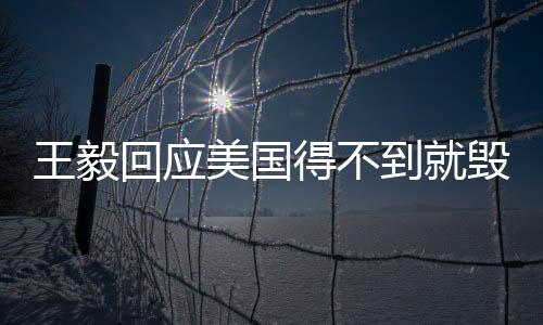 王毅回應(yīng)美國得不到就毀行為，堅(jiān)定維護(hù)公平正義，推進(jìn)國際關(guān)系民主化
