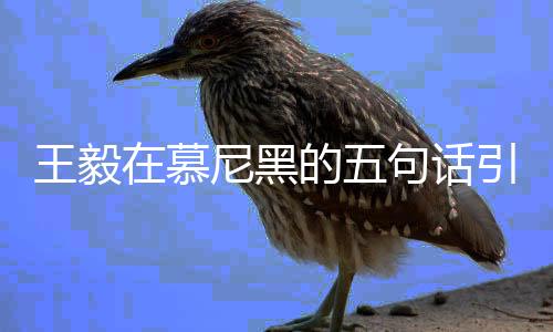 王毅在慕尼黑的五句話引起熱議，精準(zhǔn)表達(dá)揭示大國(guó)擔(dān)當(dāng)
