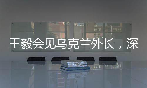 王毅會見烏克蘭外長，深化合作、促進(jìn)理解，推動中烏關(guān)系再上新臺階