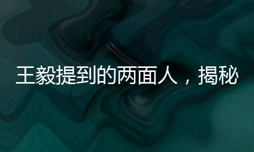 王毅提到的兩面人，揭秘身份背景與深層含義