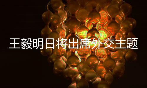 王毅明日將出席外交主題記者會(huì)，外交動(dòng)態(tài)與全球視野的九大分析點(diǎn)