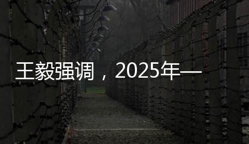 王毅強(qiáng)調(diào)，2025年——一個(gè)極具歷史分量的年份