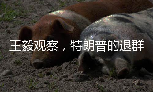 王毅觀察，特朗普的退群行為背后隱現(xiàn)的國際政治暗涌