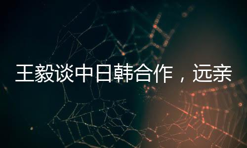 王毅談中日韓合作，遠親不如近鄰
