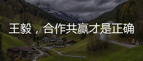 王毅，合作共贏才是正確選擇