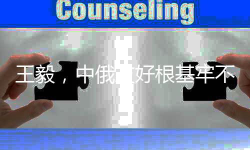 王毅，中俄友好根基牢不可破——推動(dòng)雙邊關(guān)系深入發(fā)展紀(jì)實(shí)