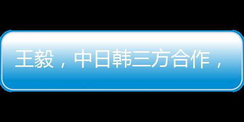 王毅，中日韓三方合作，遠(yuǎn)親不如近鄰