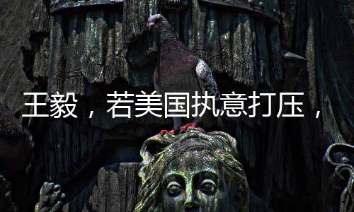 王毅，若美國執(zhí)意打壓，中國必將奉陪到底