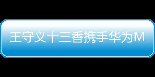 王守義十三香攜手華為Mate 60，員工福利掀起科技浪潮