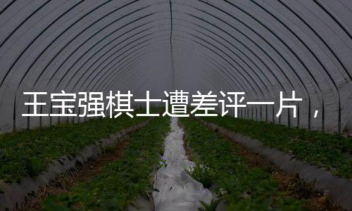 王寶強棋士遭差評一片，業(yè)界熱議其表現(xiàn)