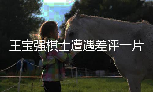 王寶強(qiáng)棋士遭遇差評一片，深度剖析其背后原因及影響