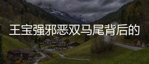 王寶強(qiáng)邪惡雙馬尾背后的故事——演技與人設(shè)的自我超越之旅