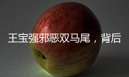 王寶強邪惡雙馬尾，背后的故事與爭議