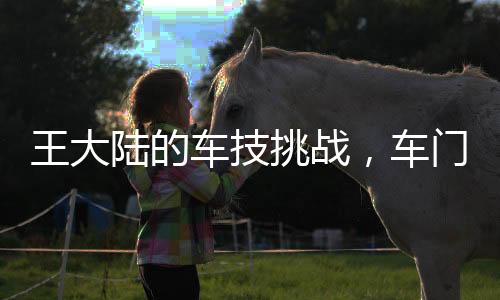 王大陸的車技挑戰(zhàn)，車門開啟的難題